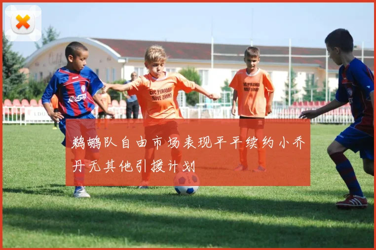 鹈鹕队自由市场表现平平续约小乔丹无其他引援计划