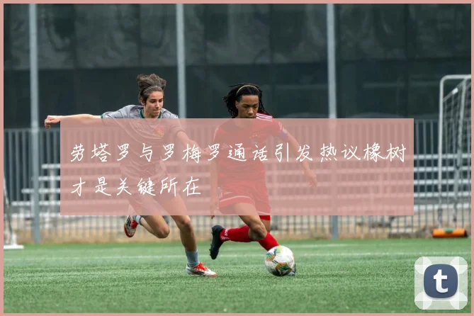 劳塔罗与罗梅罗通话引发热议橡树才是关键所在