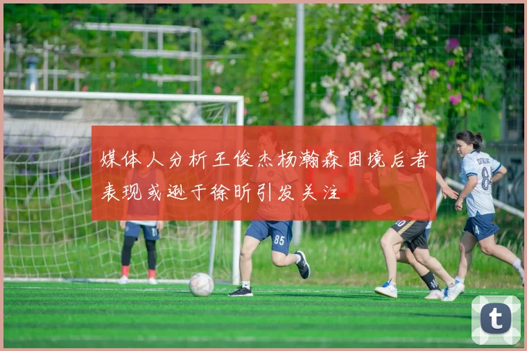 媒体人分析王俊杰杨瀚森困境后者表现或逊于徐昕引发关注